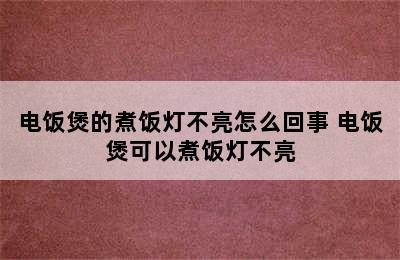 电饭煲的煮饭灯不亮怎么回事 电饭煲可以煮饭灯不亮